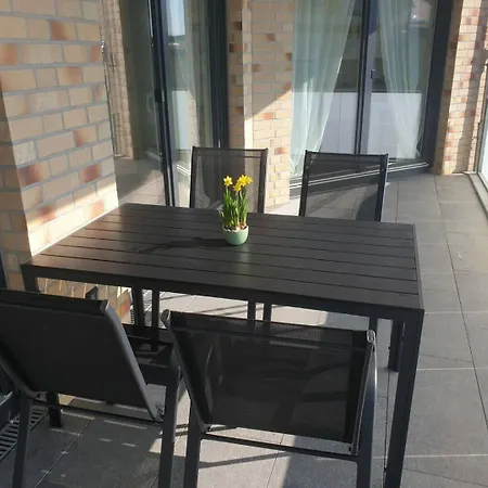 Strandmoewe Лабё